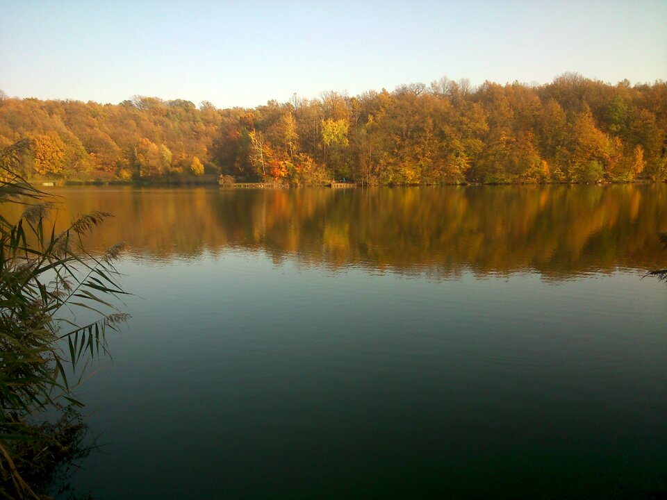 Nature autumn water reflextion