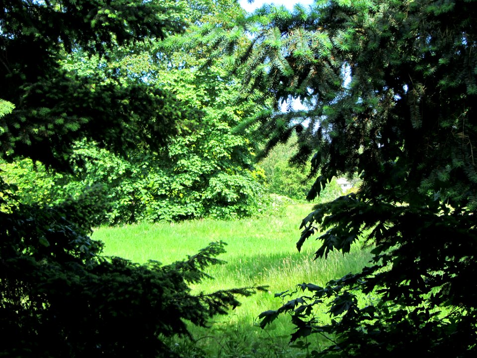 Summer in Vancouver, WA