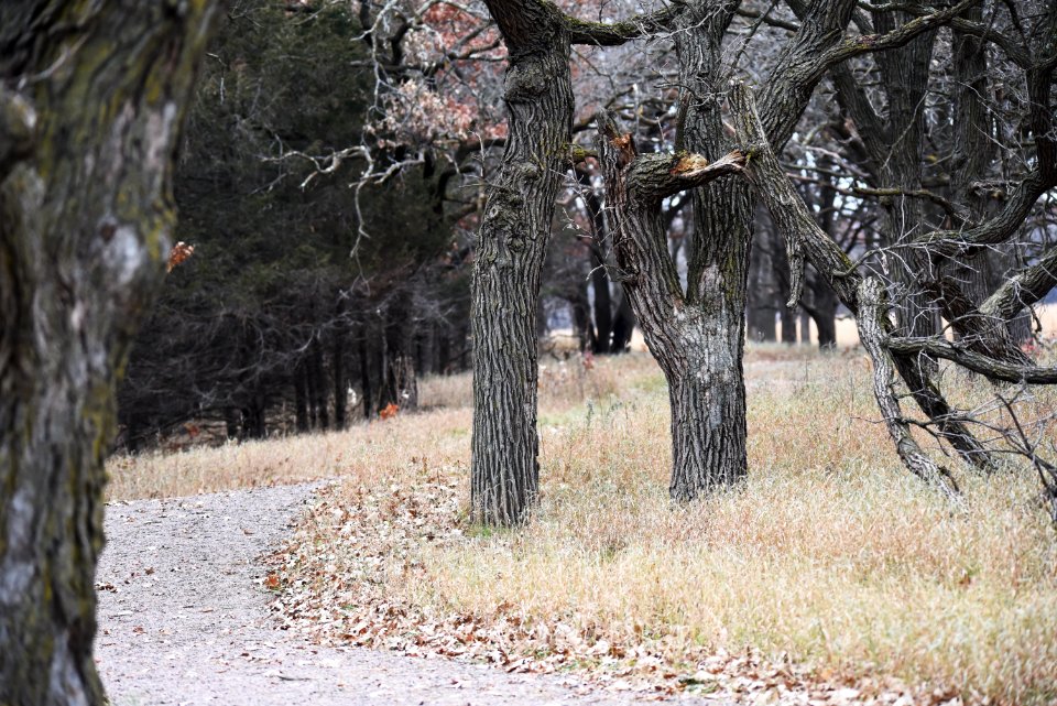 Hiking at Crane Meadows National Wildlife Refuge