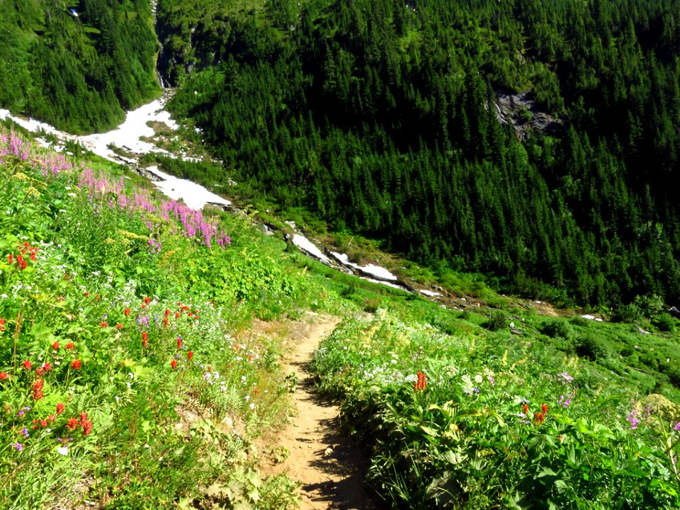 Hidden Lake Trail at North Cascades NP in WA