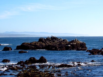 Cobble Beach at Yaquina Head in OR