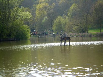 Garden of Silence, Taizé