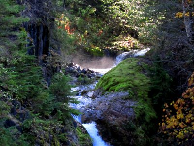 Lava Canyon Trail in Washington