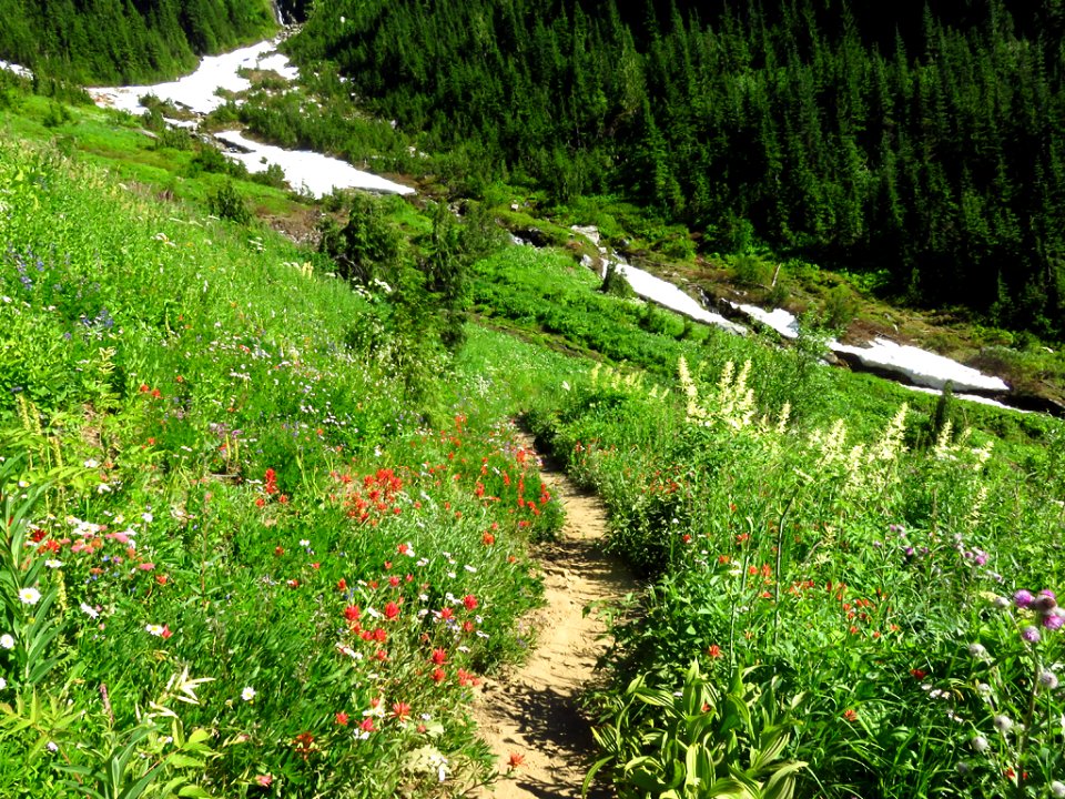 Hidden Lake Trail at North Cascades NP in WA
