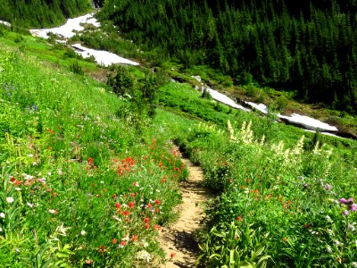 Hidden Lake Trail at North Cascades NP in WA photo