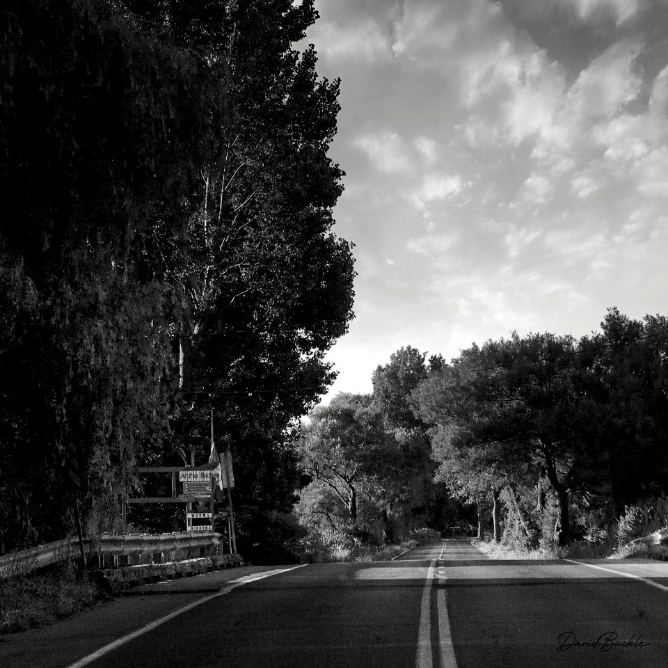 Long Point Causeway