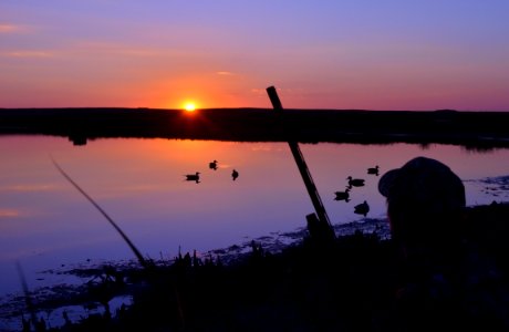 Waterfowl hunting at sunset photo