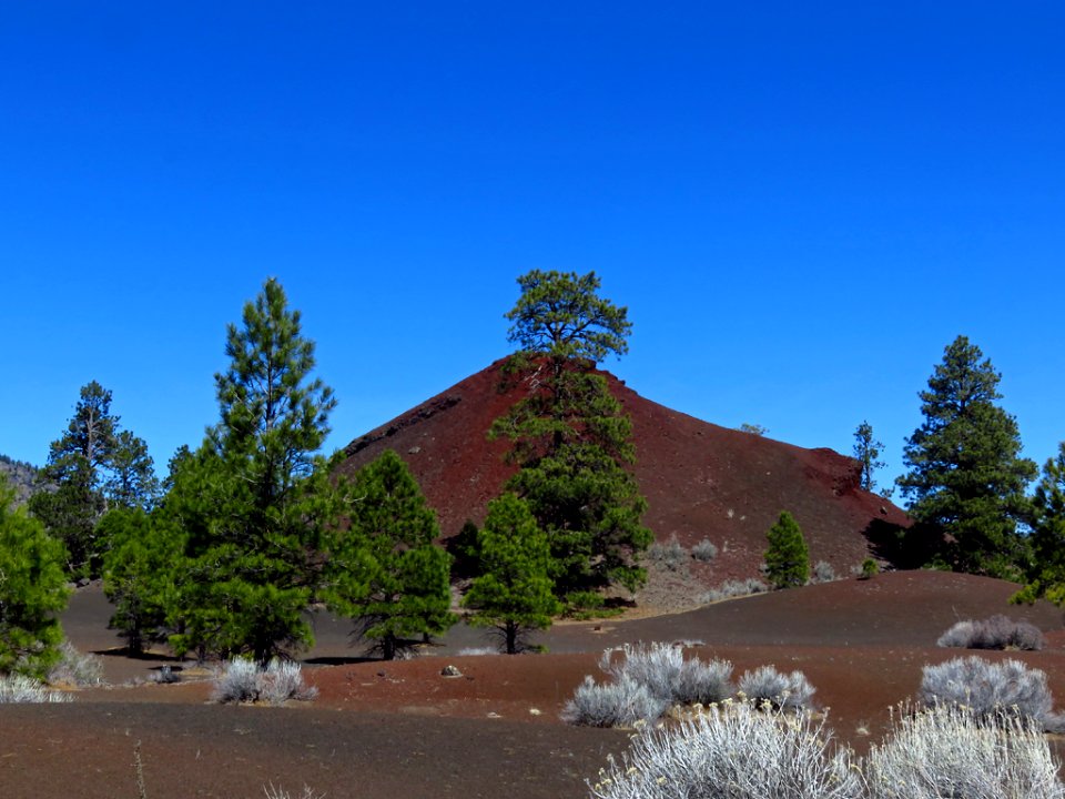 Sunset Crater Volcano NM in AZ