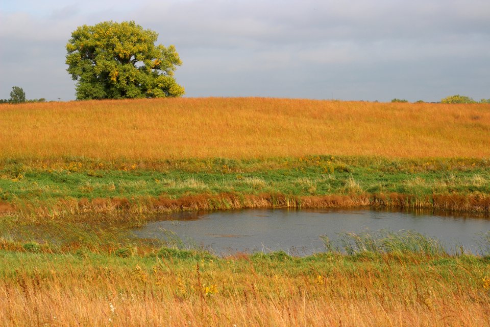 Fall on the prairie