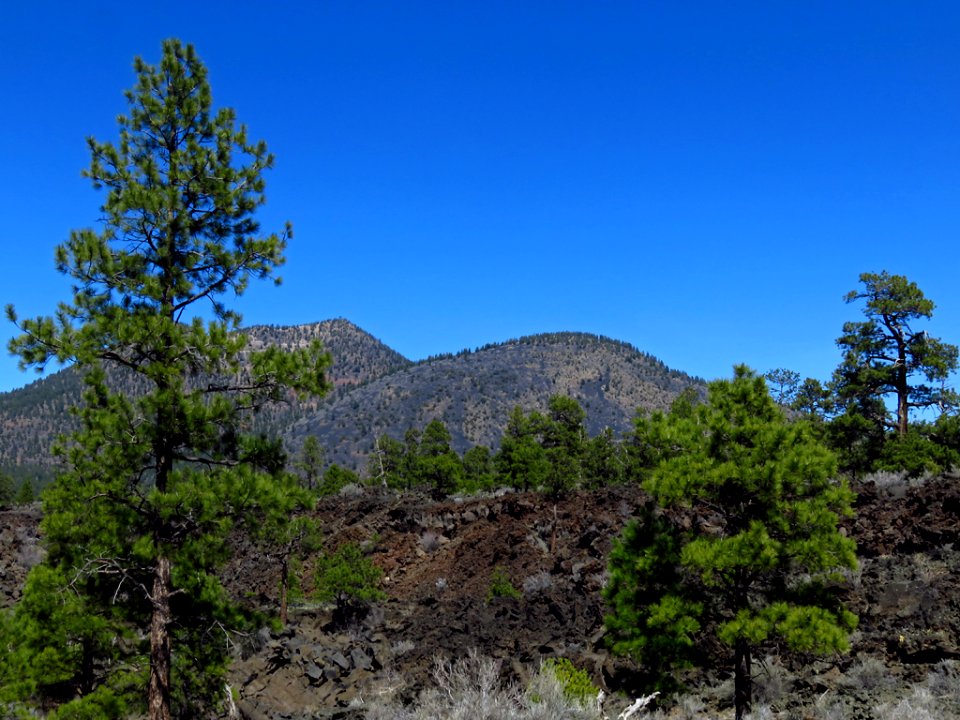 Sunset Crater Volcano NM in AZ