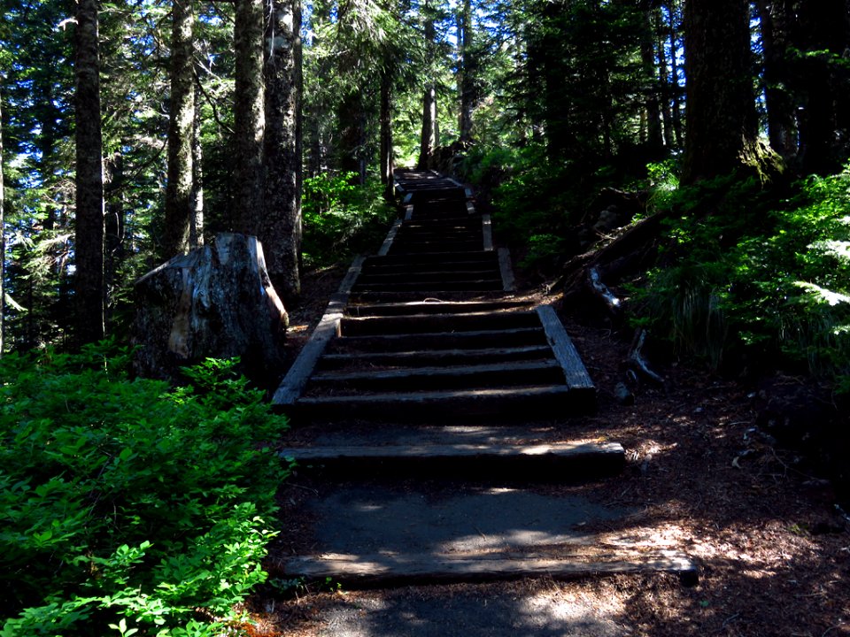 Larch Mountain in Oregon