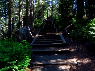 Larch Mountain in Oregon