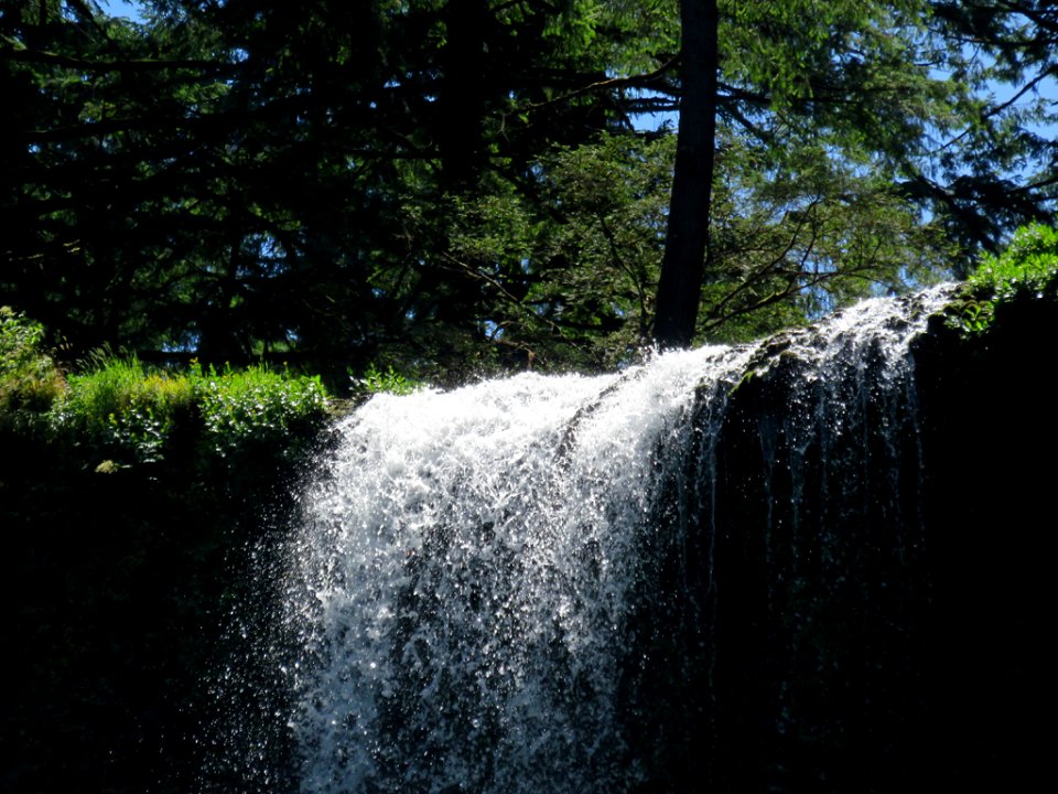 Silver Falls SP in OR
