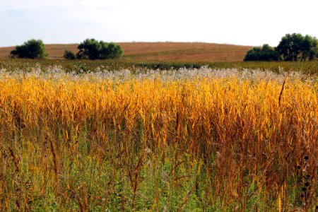 Fall on the prairie