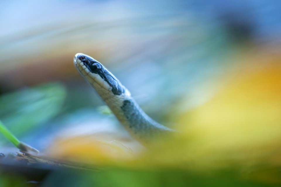 untitled-8.jpg