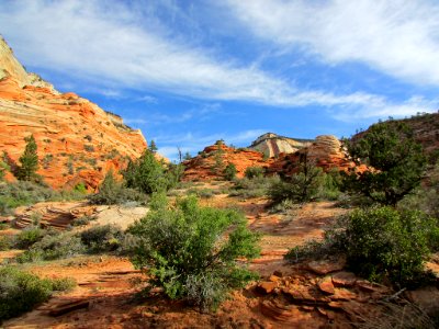 Zion NP in UT