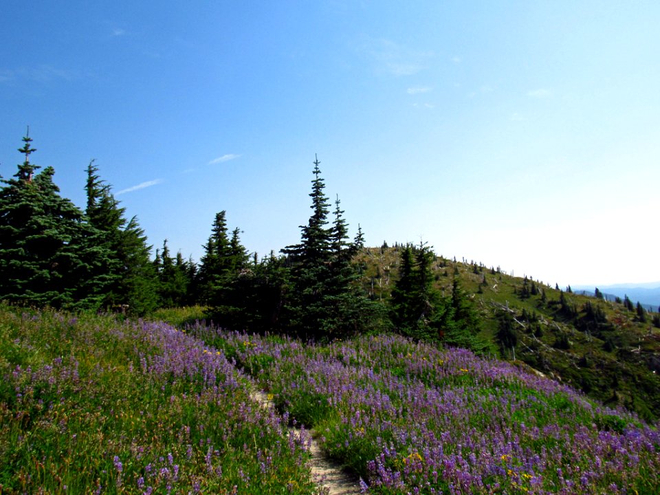 Mt. Margaret Backcountry in WA