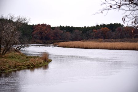 Late fall colors along the Platte River at Crane Meadows National Wildlife Refuge