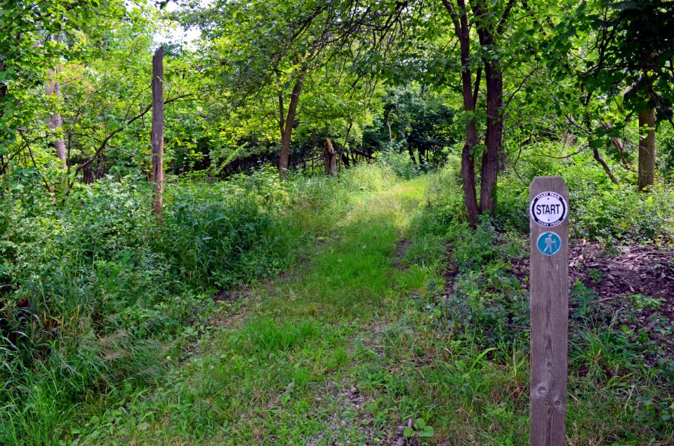 Trailhead at Detroit River International Wildlife Refuge photo