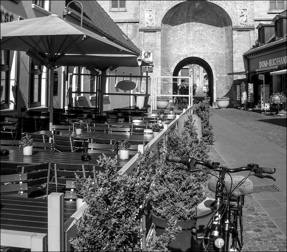 P411065bw5