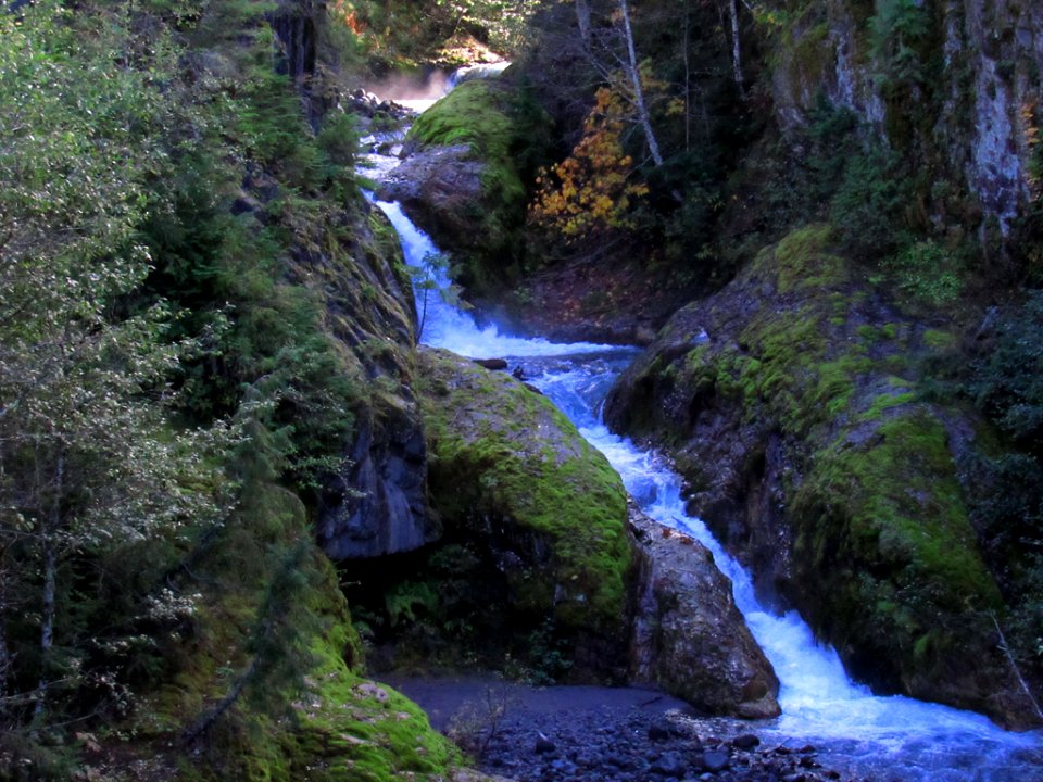 Lava Canyon Trail in Washington