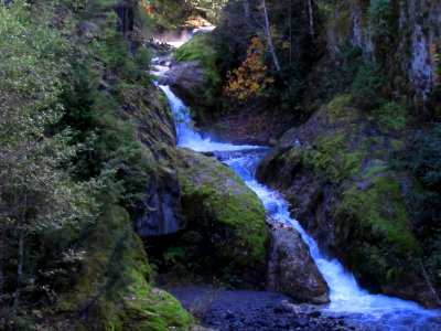 Lava Canyon Trail in Washington
