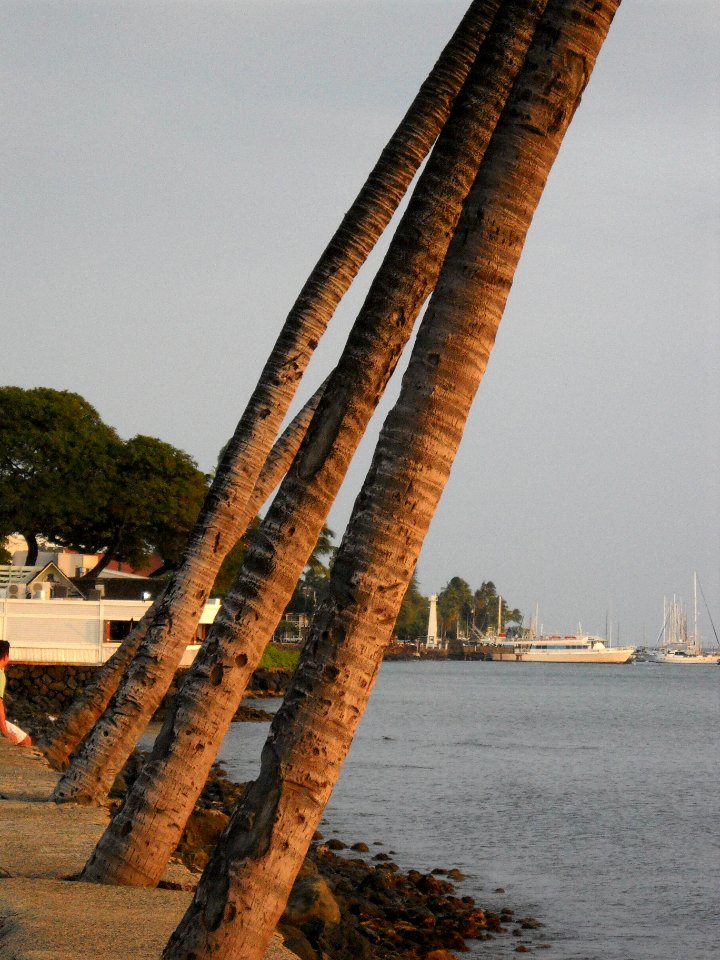 DSCN0038