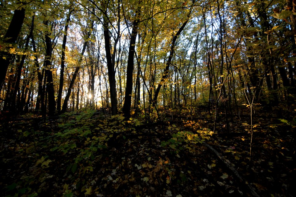 Fall Hiking