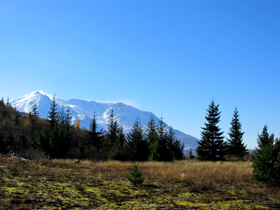 Mt. St. Helens NM in WA