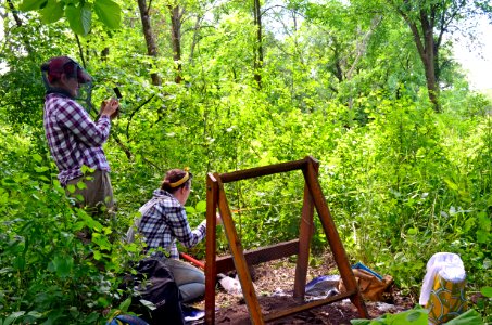 Archaeological Survey photo