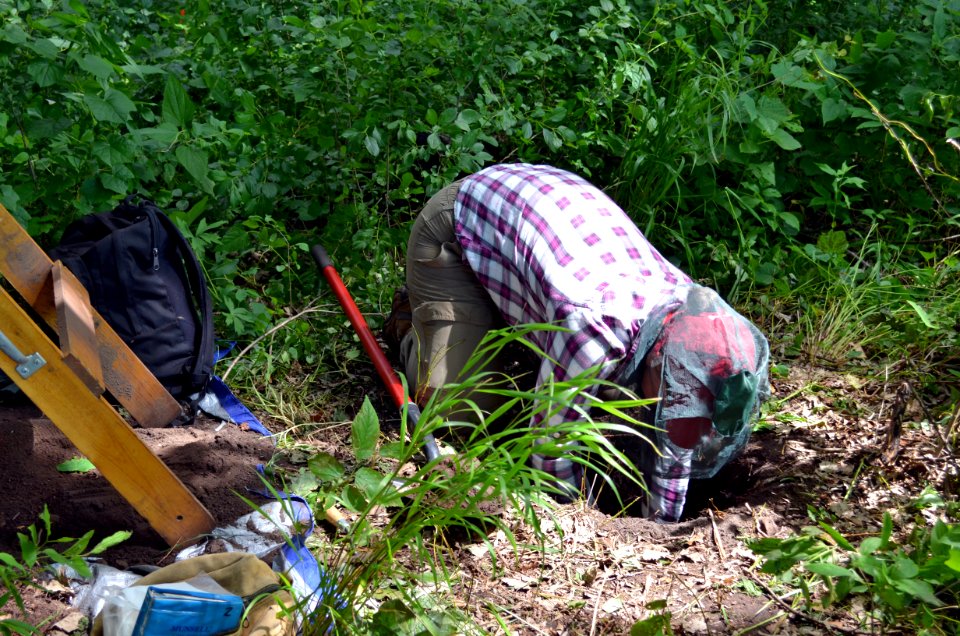 Archaeological Survey