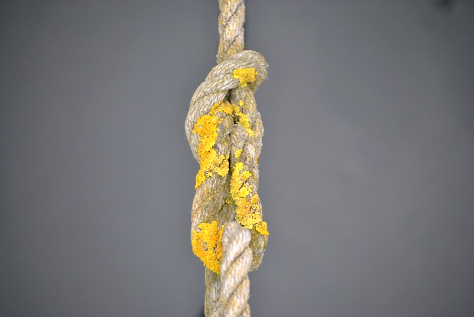 Cordage knitting dew