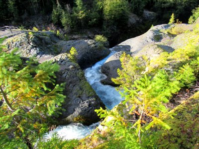 Lava Canyon Trail in Washington photo