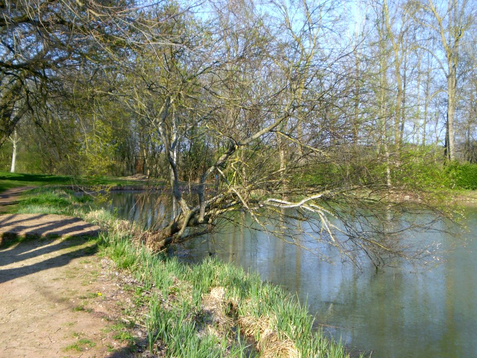 Lake in the Silent Garden, Taizé