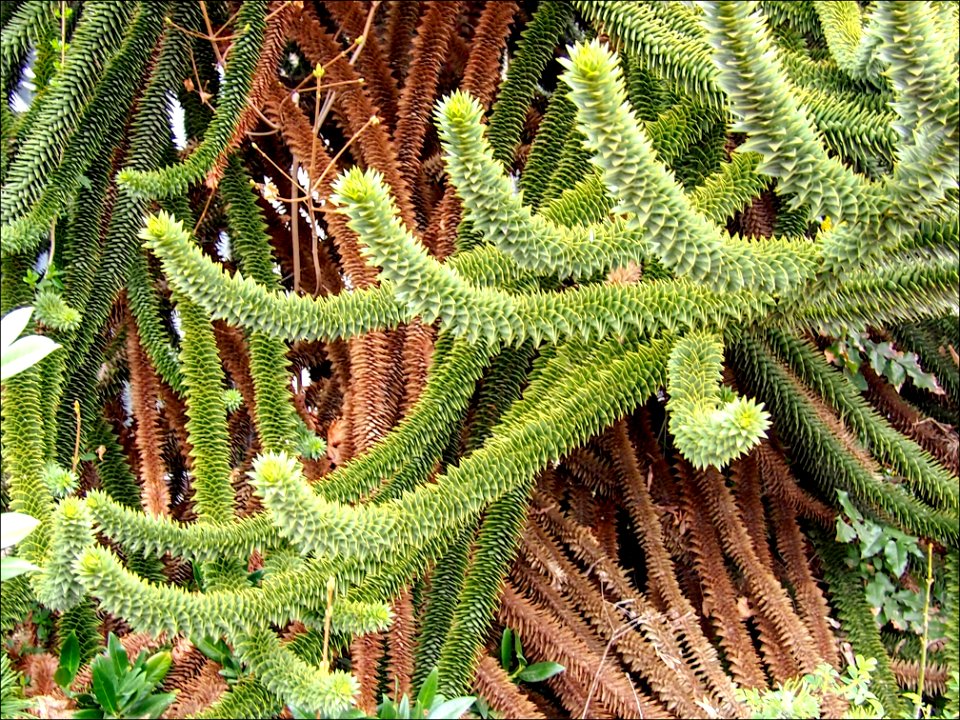 P4080486