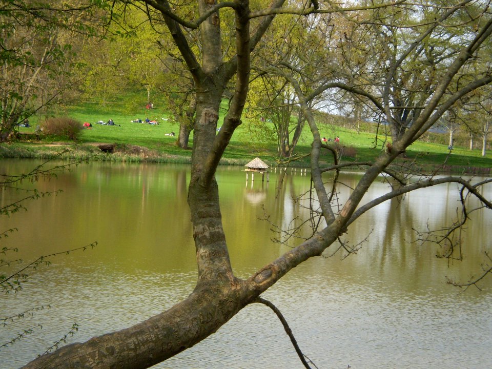 Garden of Silence, Taizé