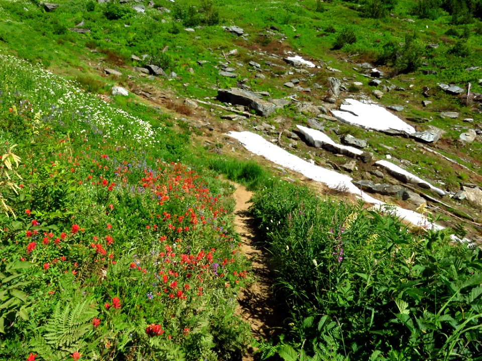 Hidden Lake Trail at North Cascades NP in WA