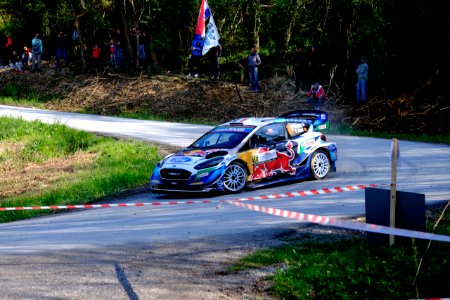 WRC Fiesta 01