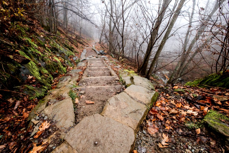Dark Hollow Falls Trail on a Foggy Day