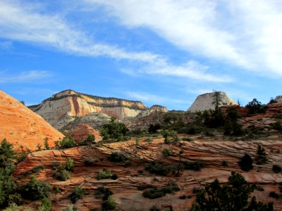 Zion NP in UT photo