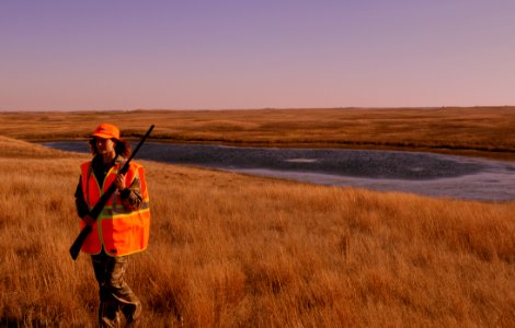 Grouse Hunting photo