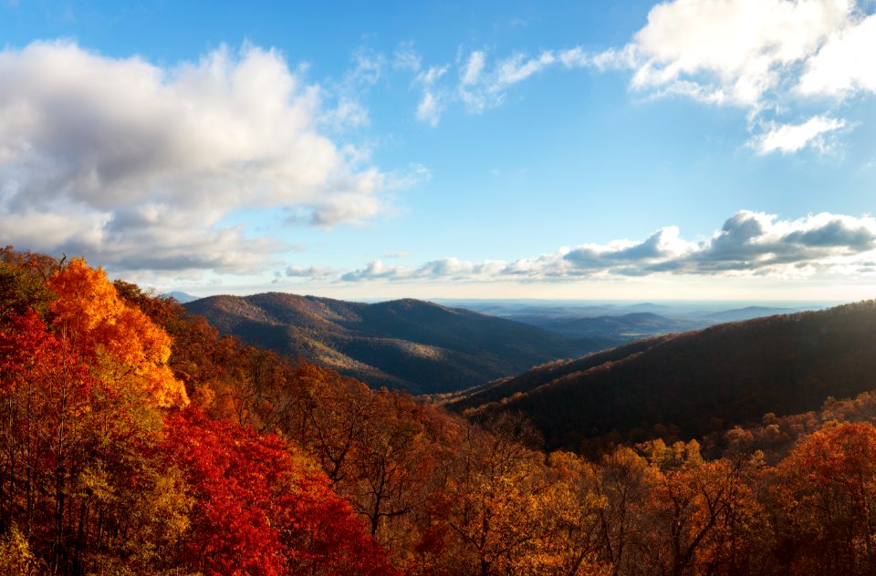 Fall - Tunnel Overlook