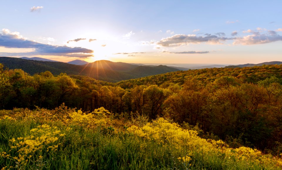 Spring Colors Bathed by Sun