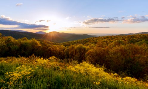 Spring Colors Bathed by Sun