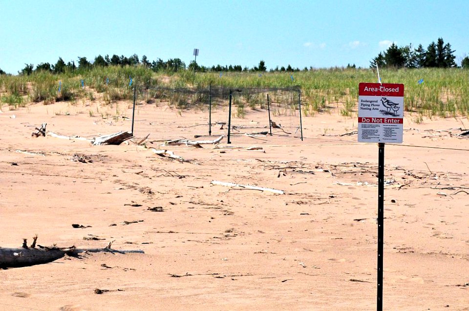 Nest Exclosure Sign