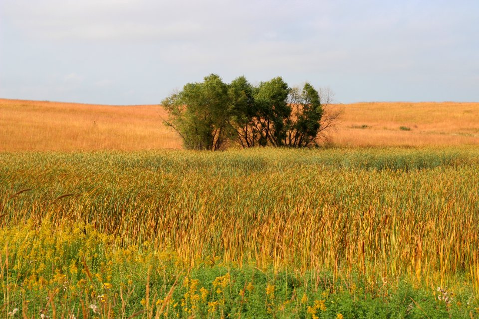 Fall on the prairie