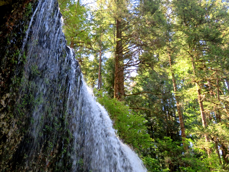 Silver Falls SP in OR