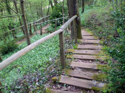 Garden of Silence, Taizé