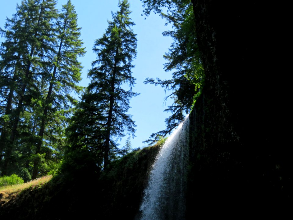 Silver Falls SP in OR