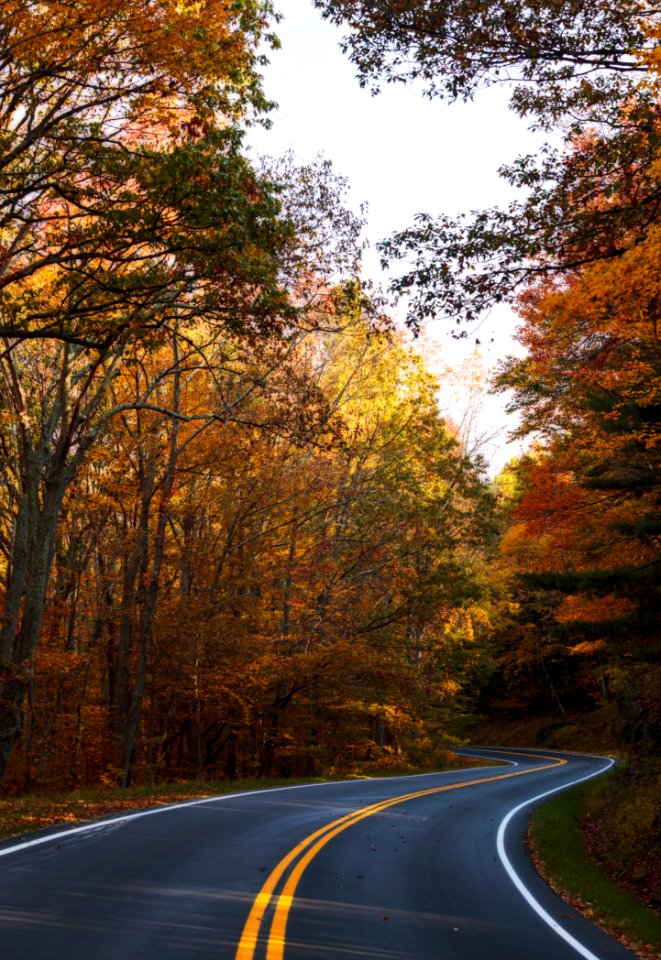 2016 Fall Color: Week of 10/17-10/21